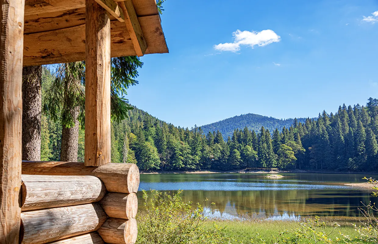 protecting your log home